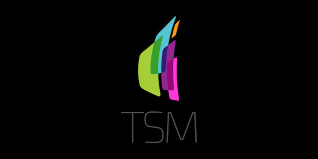 talonX Creative Agency - TSM Inc Calgary Custom Logo Design Dark